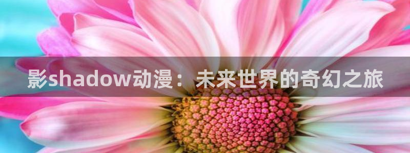 治愈动漫推荐:影shadow动漫:未来世界的奇幻之旅