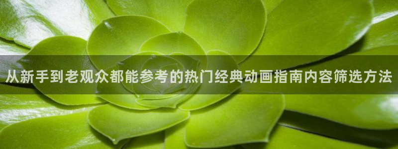 国产动漫排行：从新手到老观众都能参考的热门经典动画指南内容筛选方法
