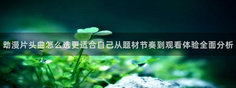 热血动漫：动漫片头曲怎么选更适合自己从题材节奏到观看体验全面分析