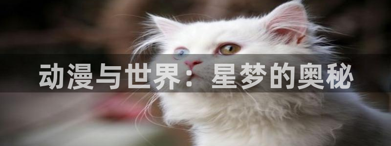 动漫在线网站:动漫与世界:星梦的奥秘