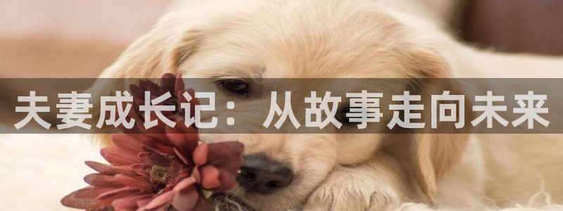 魔法动漫:夫妻成长记:从故事走向未来