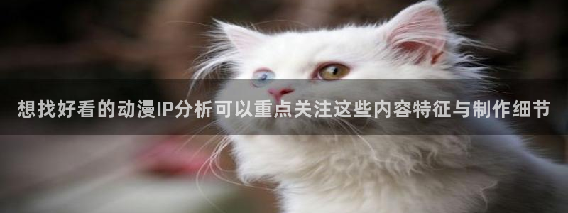 必看动漫:想找好看的动漫IP分析可以重点关注这些内容特征与制作细节