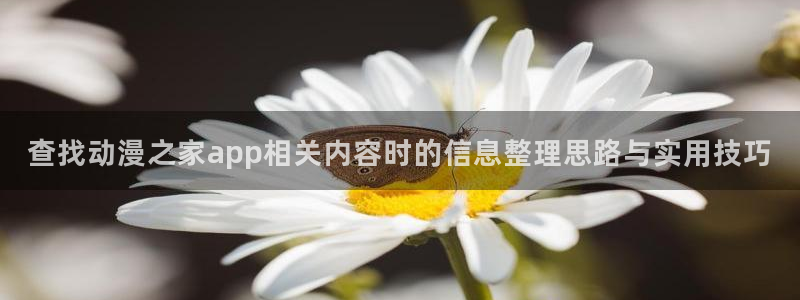 动漫内容导航:查找动漫之家app相关内容时的信息整理思路与实用技巧