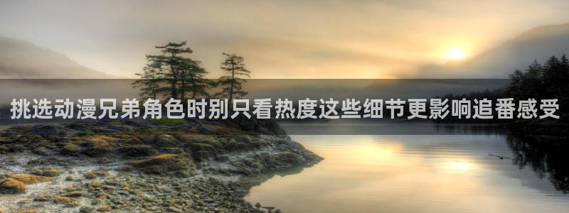 日本动画大全:挑选动漫兄弟角色时别只看热度这些细节更影响追番感受