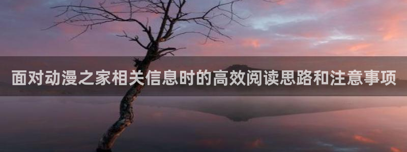 日漫大全:面对动漫之家相关信息时的高效阅读思路和注意事项