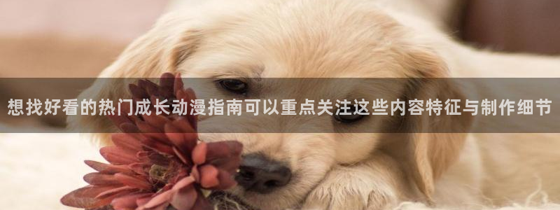 新番动画大全:想找好看的热门成长动漫指南可以重点关注这些内容特征与制作细节