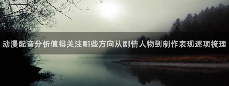 好看的动漫:动漫配音分析值得关注哪些方向从剧情人物到制作表现逐项梳理