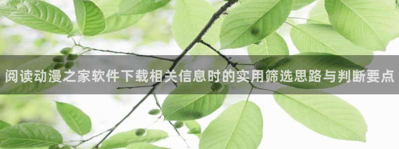 热门动漫排行:阅读动漫之家软件下载相关信息时的实用筛选思路与判断要点