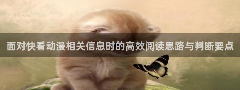 奇幻动漫:面对快看动漫相关信息时的高效阅读思路与判断要点